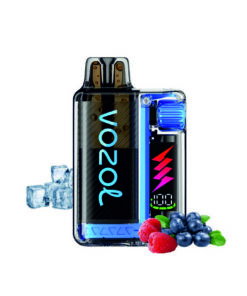 Vozol Vista Plug 20mg 2ml Kit + 10ml e liquid Blue Razz Ice