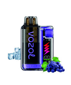 Vozol Vista Plug 20mg 2ml Kit + 10ml e liquid Grape Ice